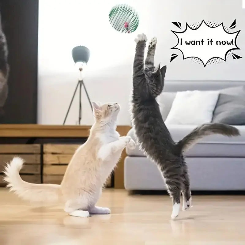 Balls Funny Stretchable Cat Toy