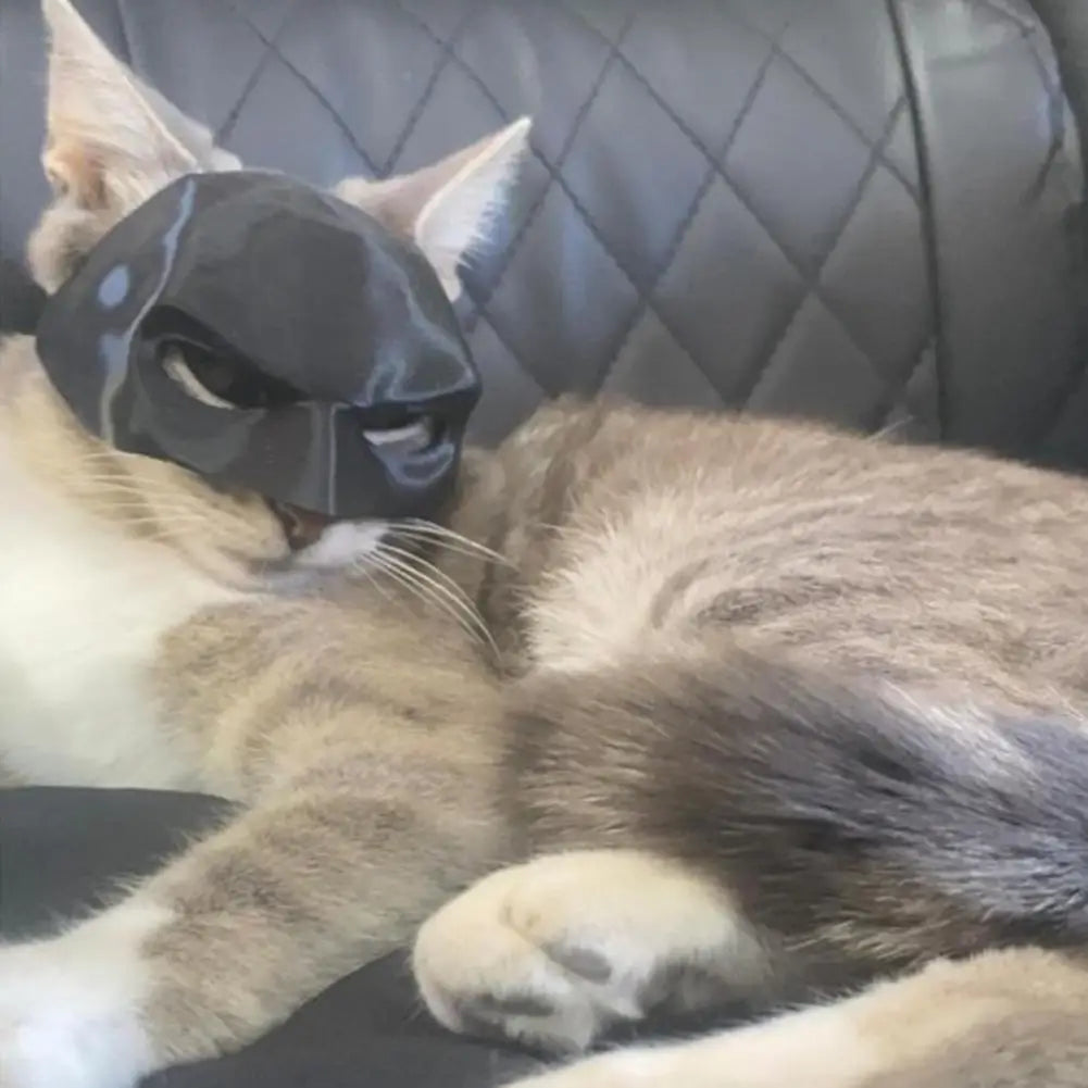 Cat Bat Mask